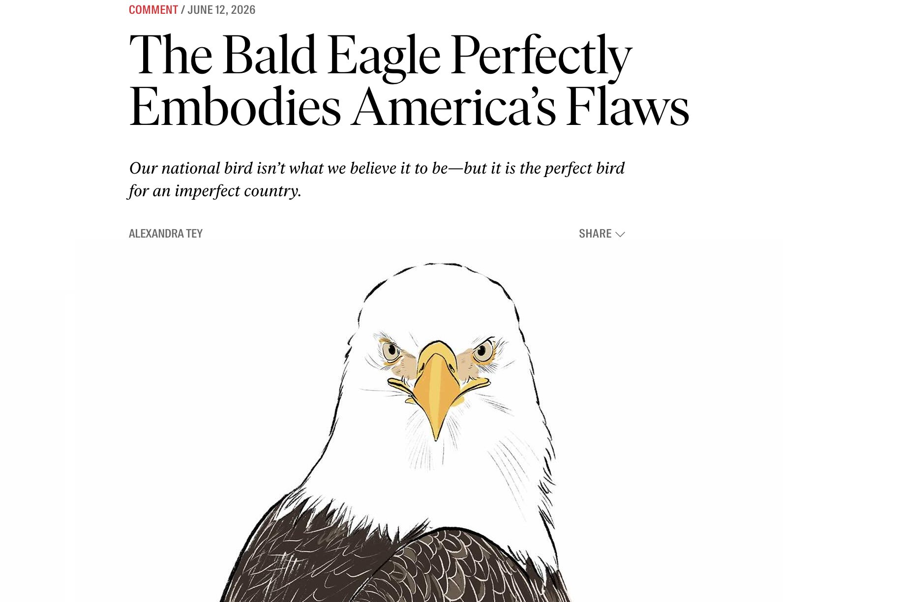The Bald Eagle Perfectly Embodies America's Flaws — The Nation