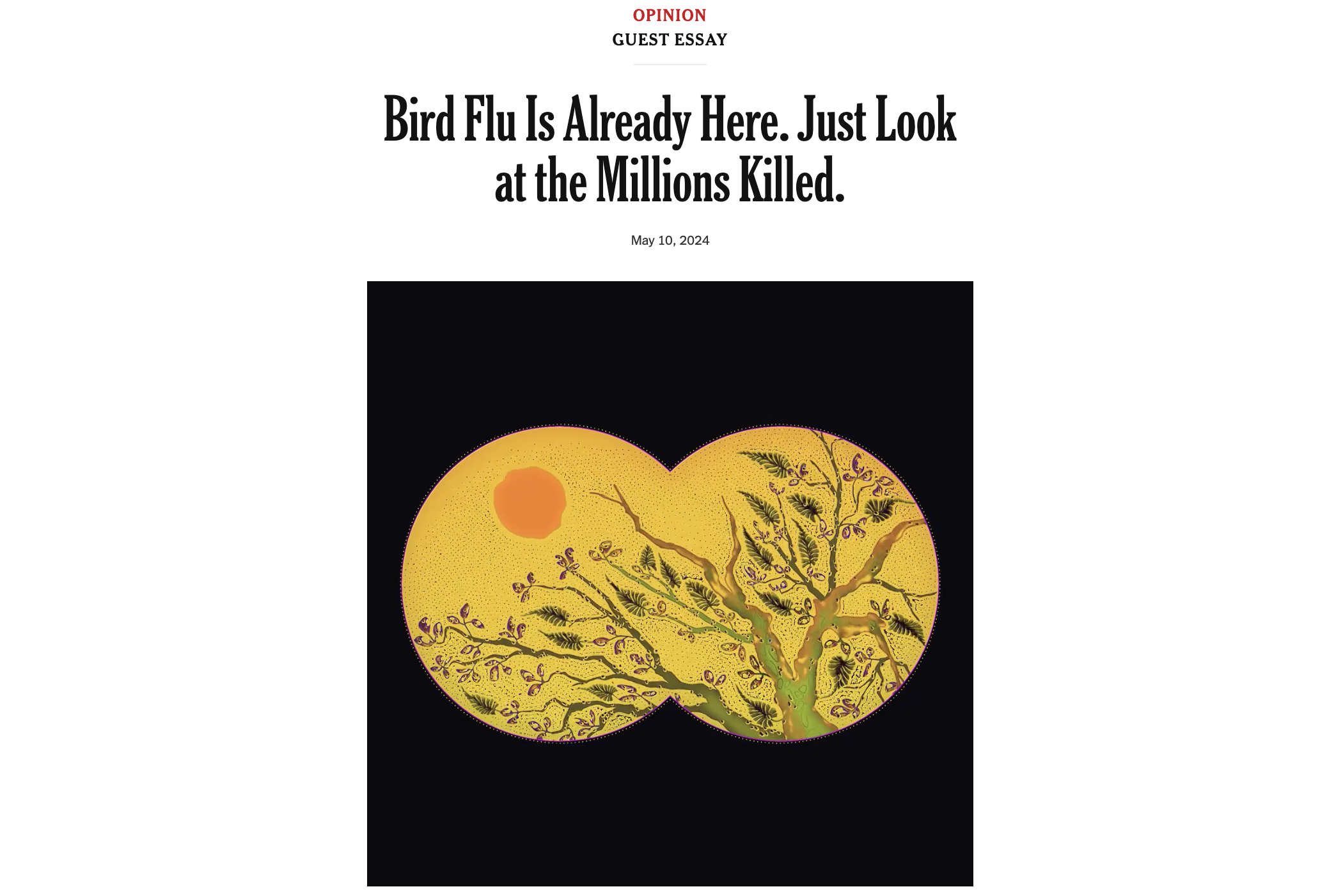 Bird Flu Is Already Here. Just Look at the Millions Killed. — The New York Times